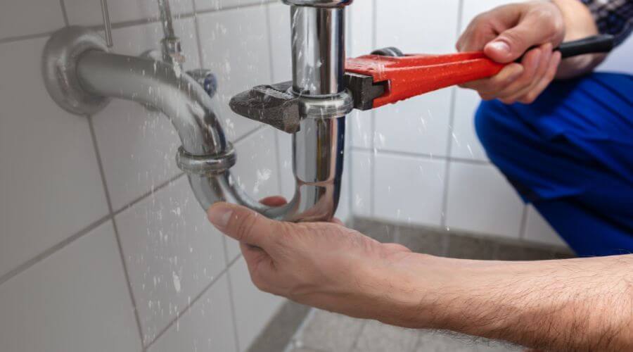 Professional Leak Detection in Minden City, MI